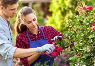 como criar um site elementor wordpress website facil elsalvadorwp 8 2